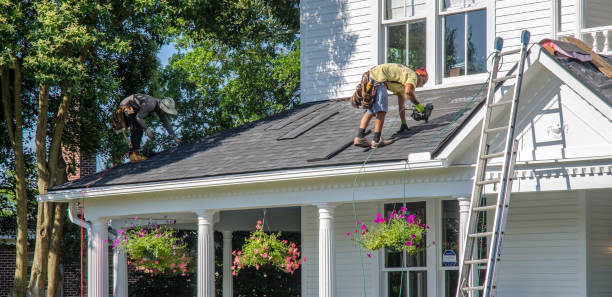 Best Gutter Installation and Roofing  in Hybla Lley, VA